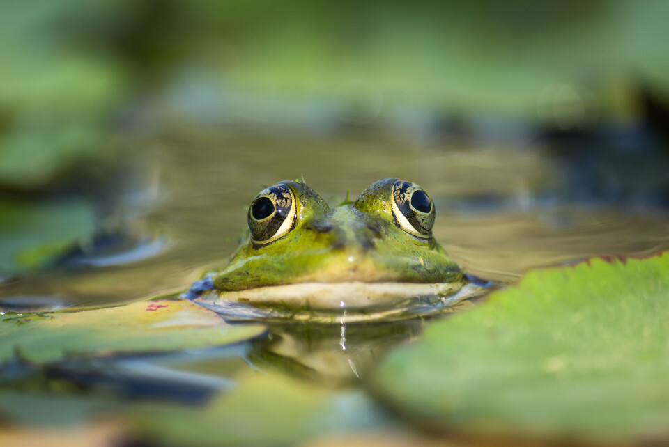 Helen Rose Gabriel / Shutterstock