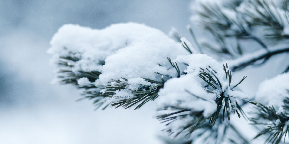Ice and snow set to hit france in the coming days