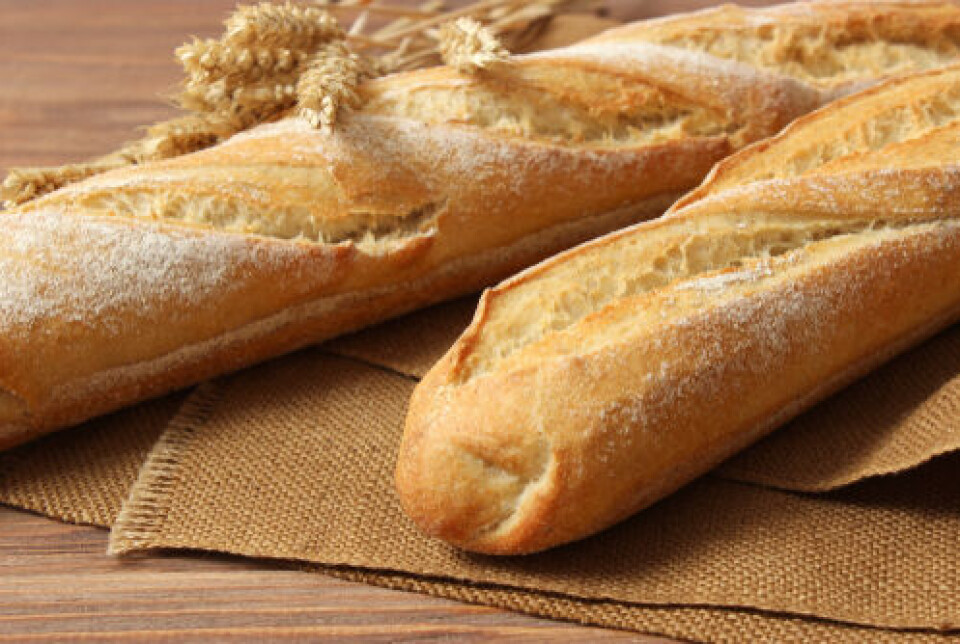 White bear studio / Shutterstock