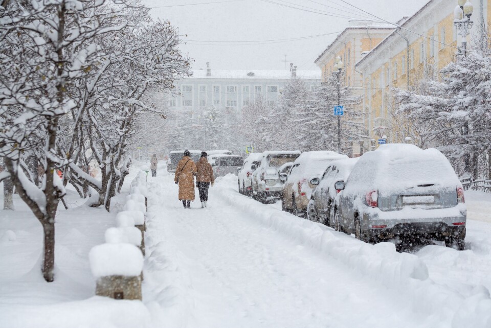 Andrei Stepanov / Shutterstock