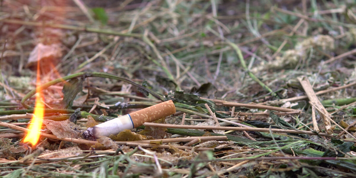 French mps vote to ban smoking in forests when wildfire risk is high
