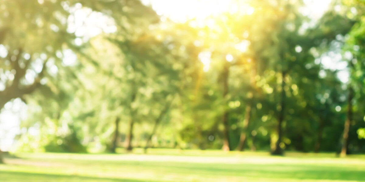 Big temperature drop: weather outlook for start of the week in france