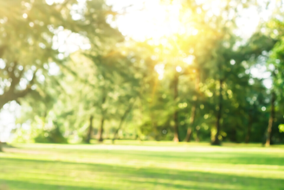 antstang / Shutterstock