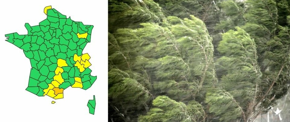 A split image including a map of weather alerts and an image of a tree blowing in the wind