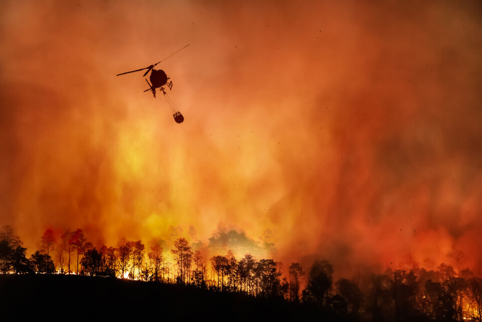 Toa55/Shuttershock Forest fire with helicopter flying over delivering water