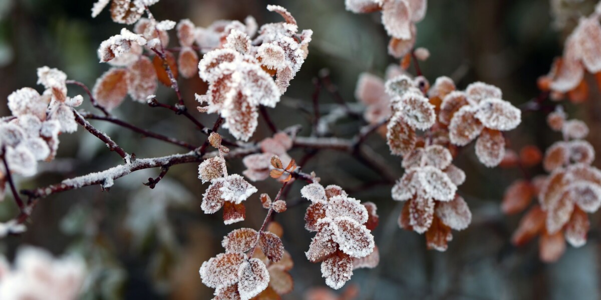 Why are temperatures yo-yoing in france? And what about next week?