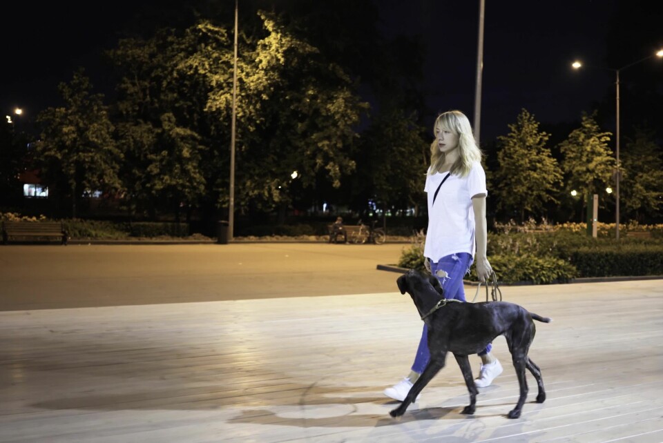 Walking a dog at night
