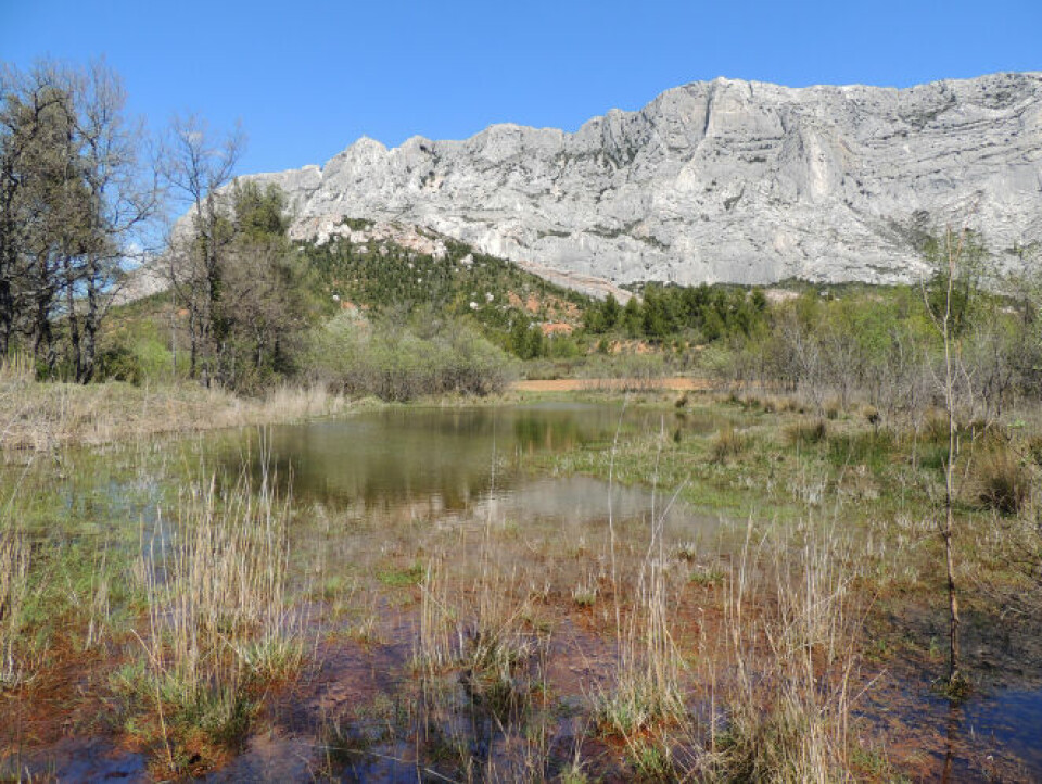 National Reserve of Sainte-Victoire