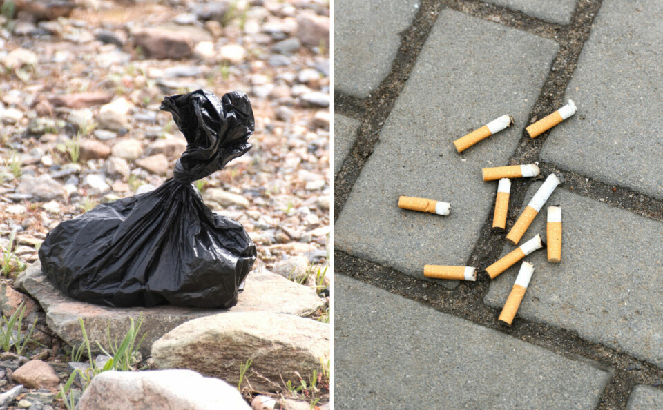 A plastic bag of dog waste and cigarette butts on asphalt. Bas-Rhin: French town imposes €1,000 fine for dog mess or littering
