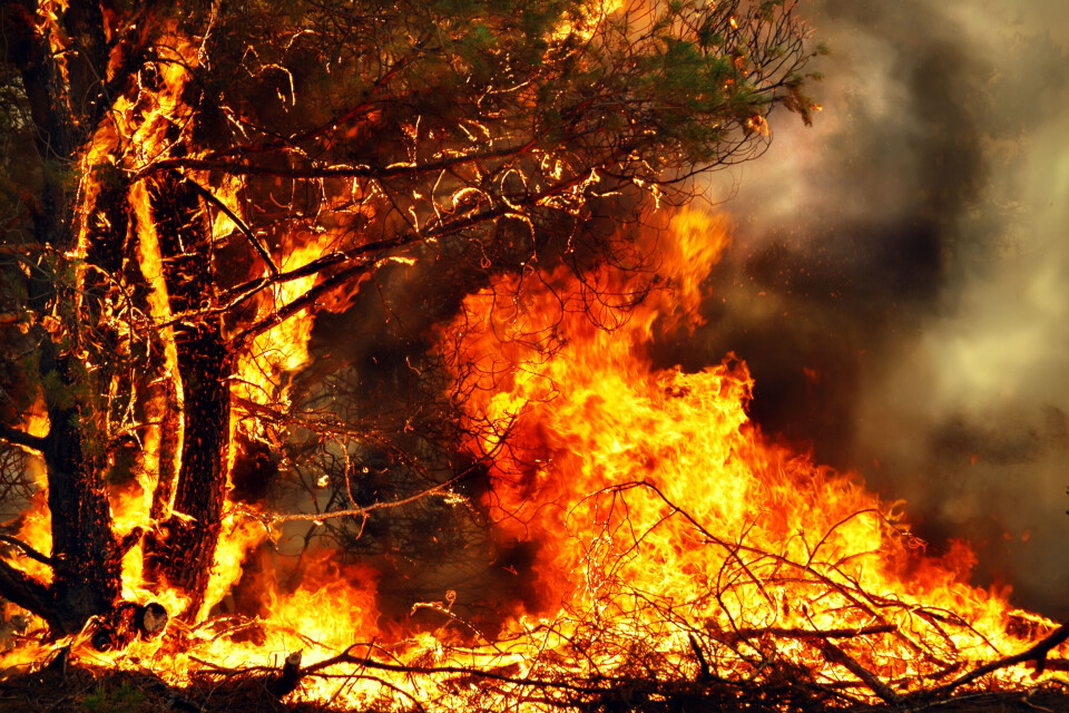 An image of a firefighter tackling a blaze