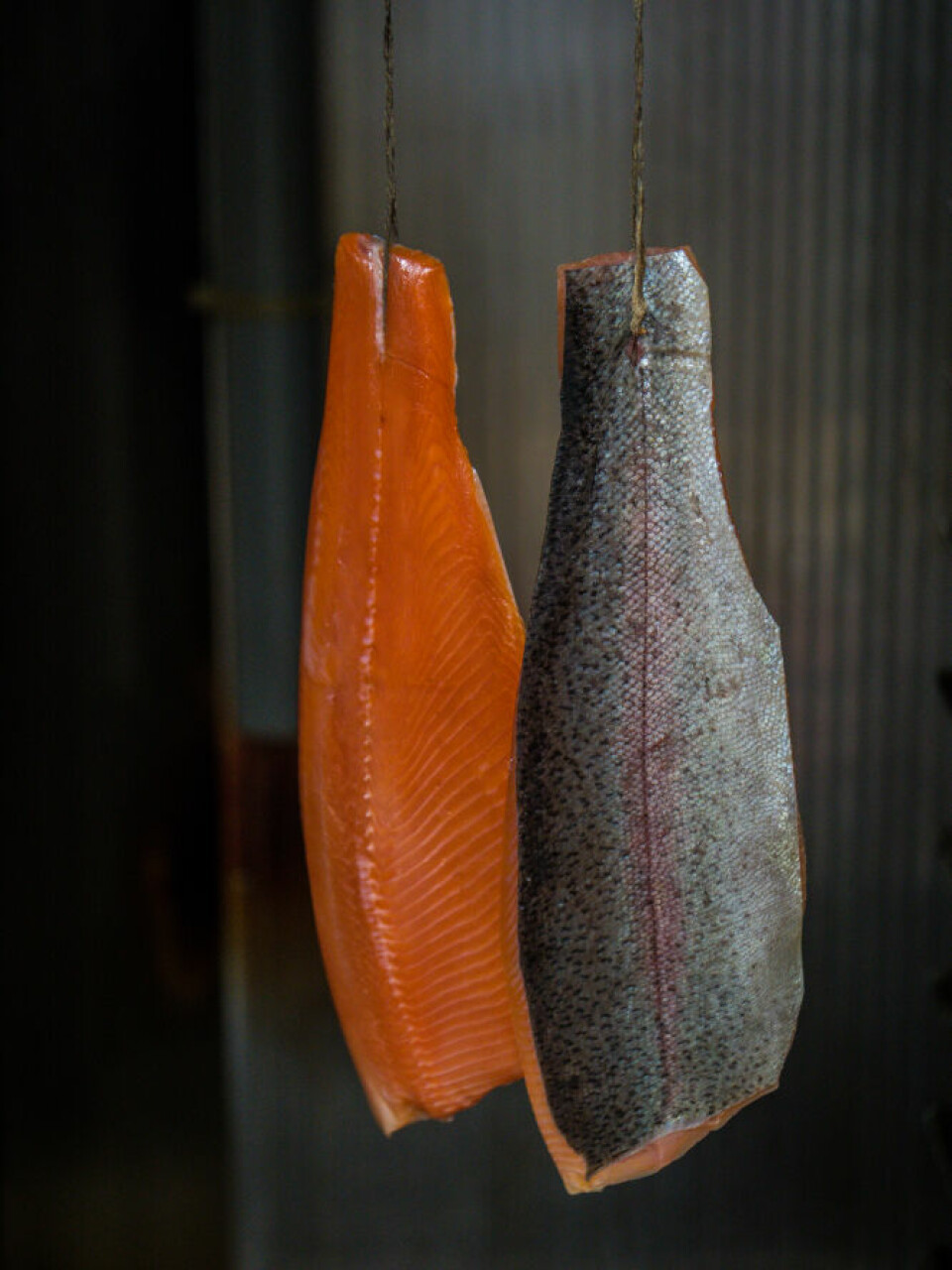Smoked trout