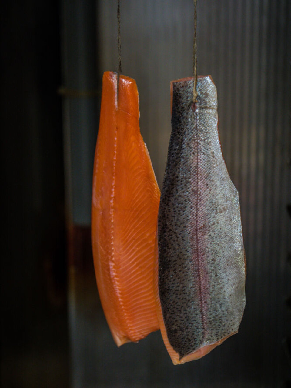 Smoked trout