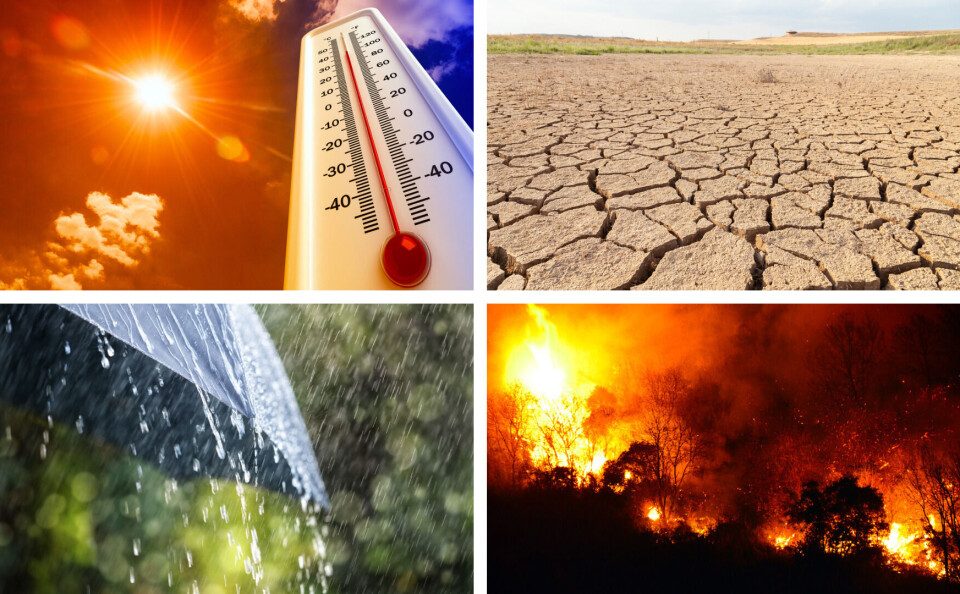 Thermometer showing hot weather, very dry land, rain falling on an umbrella, wildfire on mountain. How climate change will affect major cities in France by 2050