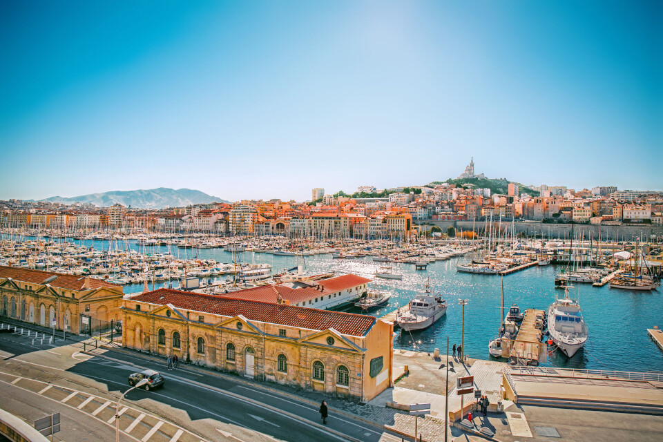 Pani Garmyder / Shutterstock