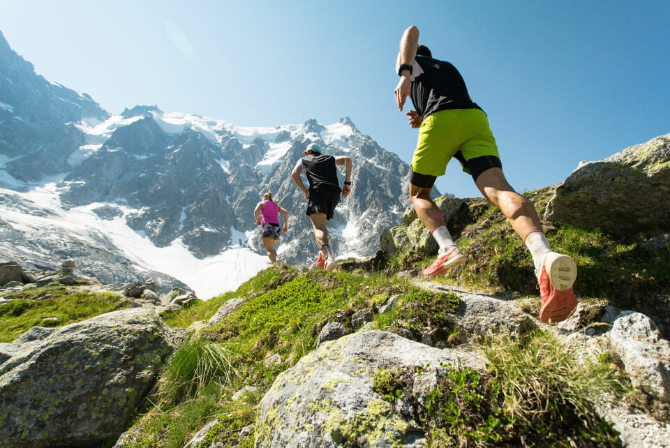 Trail runners in the Alps mountain range.