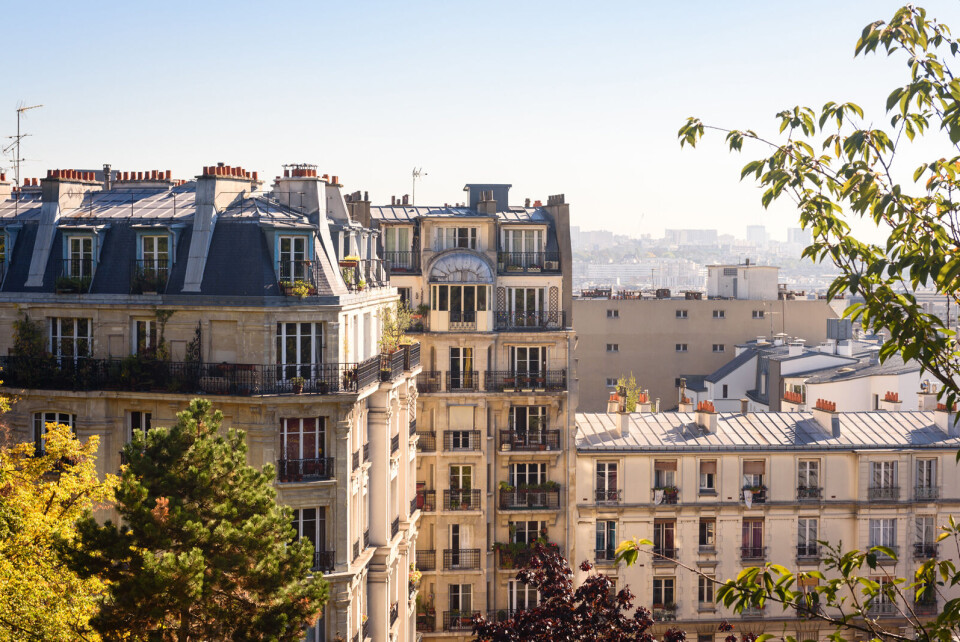 Thomas Dekiere / Shutterstock