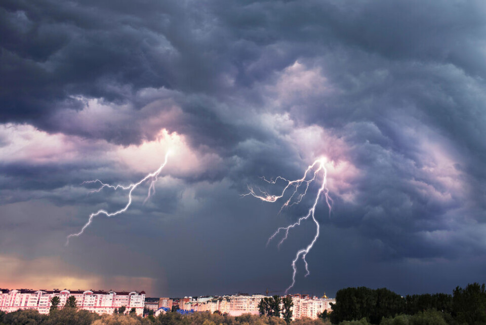 Roman Mikhailiuk | Shutterstock