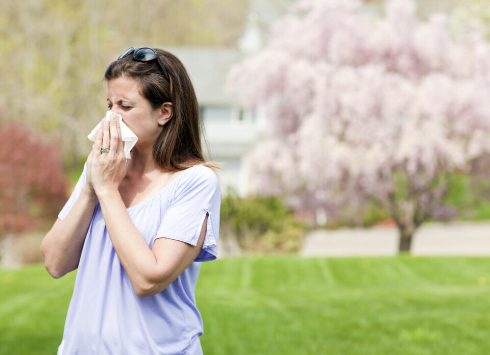 A woman sneezes into a tissue near some trees. France on high pollen alert after warmer weather