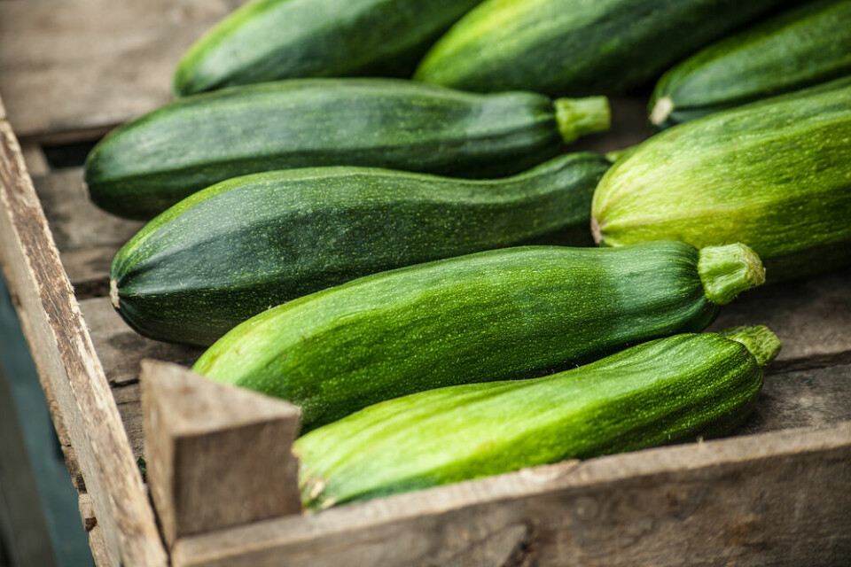 Courgettes in a wooden box. Wholesaler accused of relabelling tonnes of Spanish veg as French
