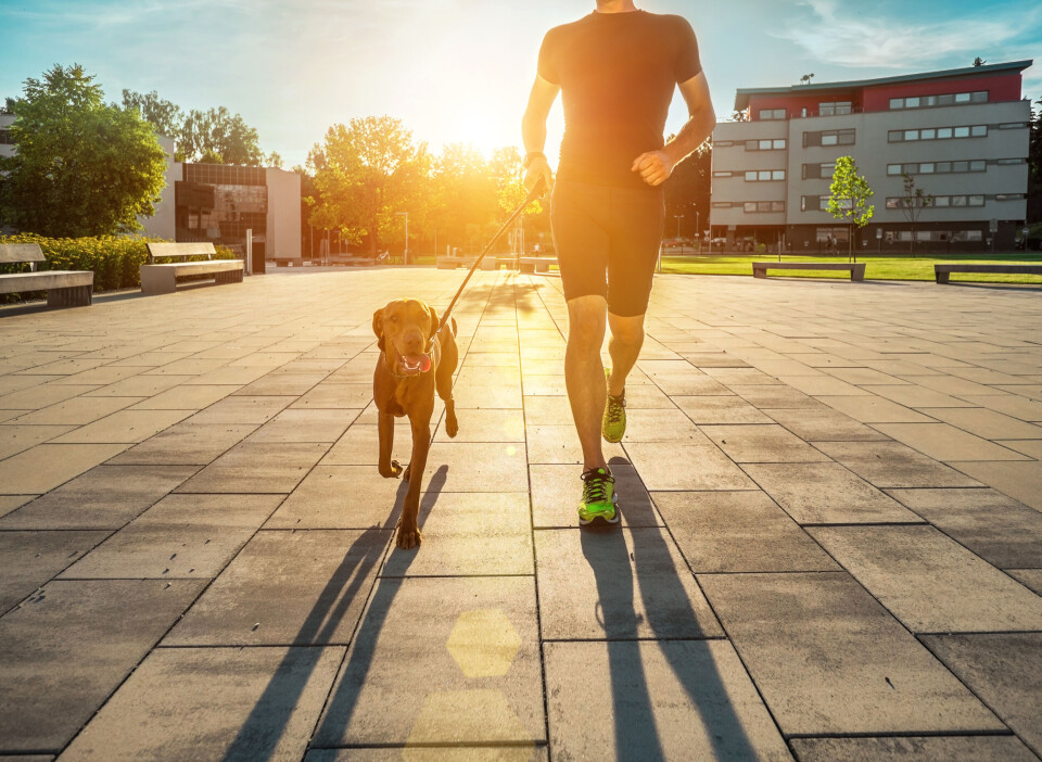 Andrey Yurlov / Shutterstock A man runs with a dog