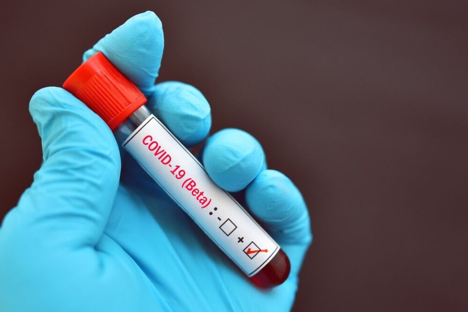 Beta variant blood sample