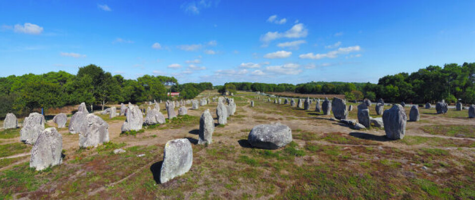 Carnac stones