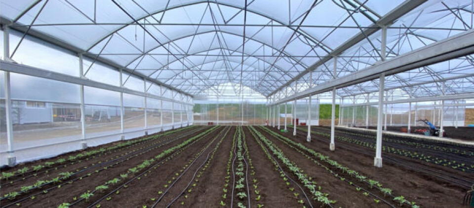 NeoFarm greenhouse