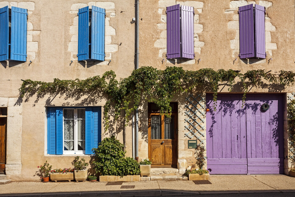 Dan Tautan / Shutterstock