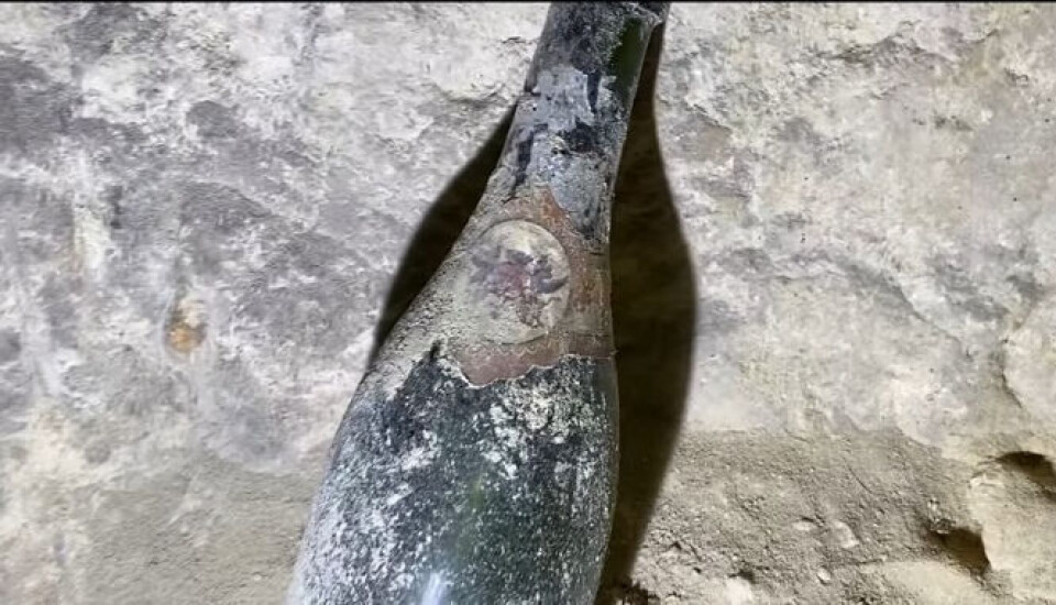 Old bottles of wine