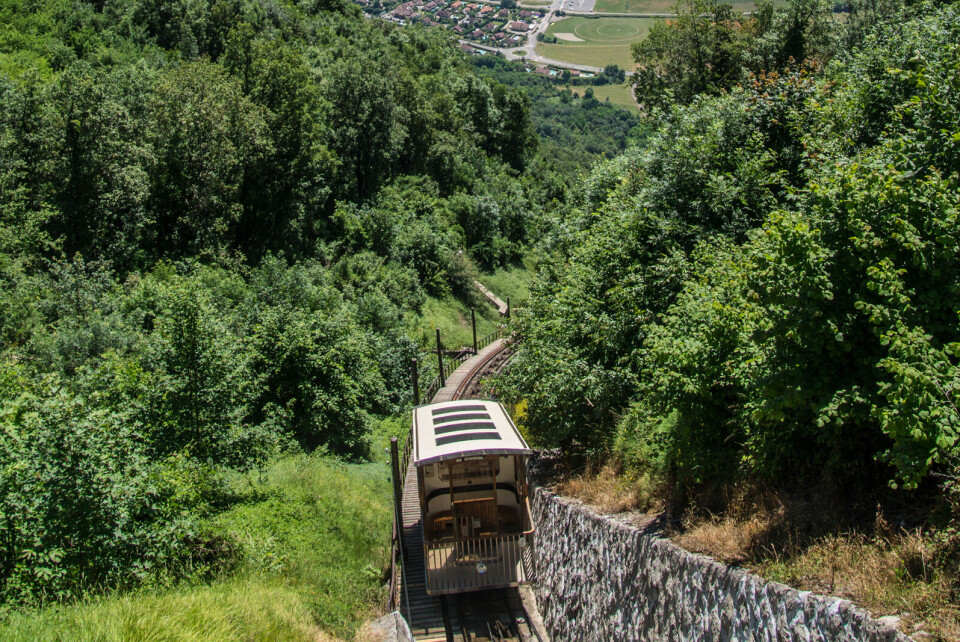 Bertrand louis / Shutterstock