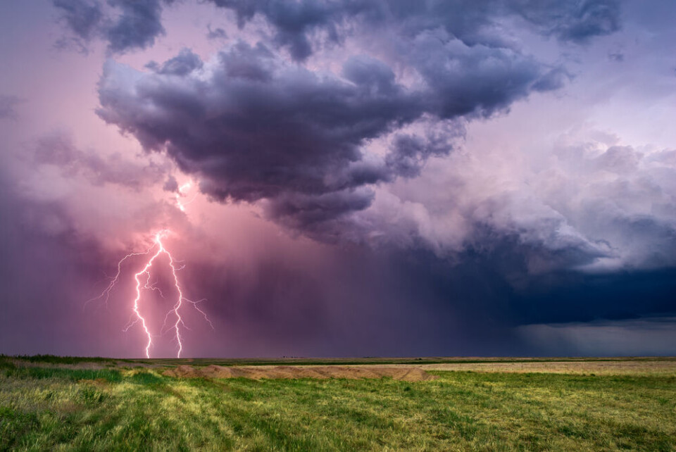 John D Sirlin | Shutterstock