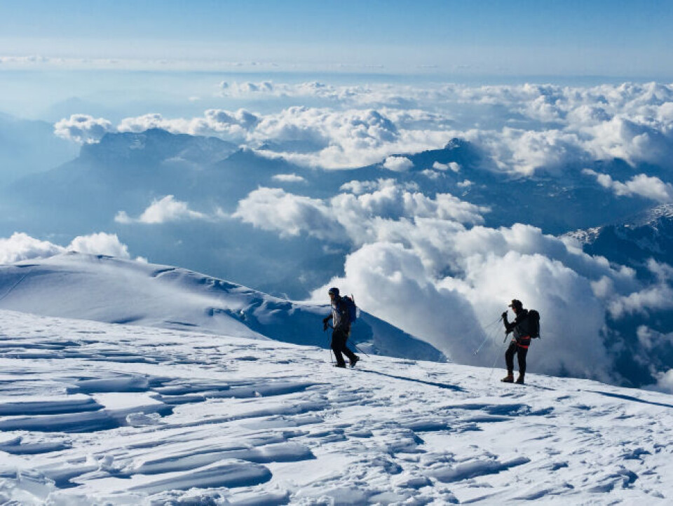 Guides in the Alps