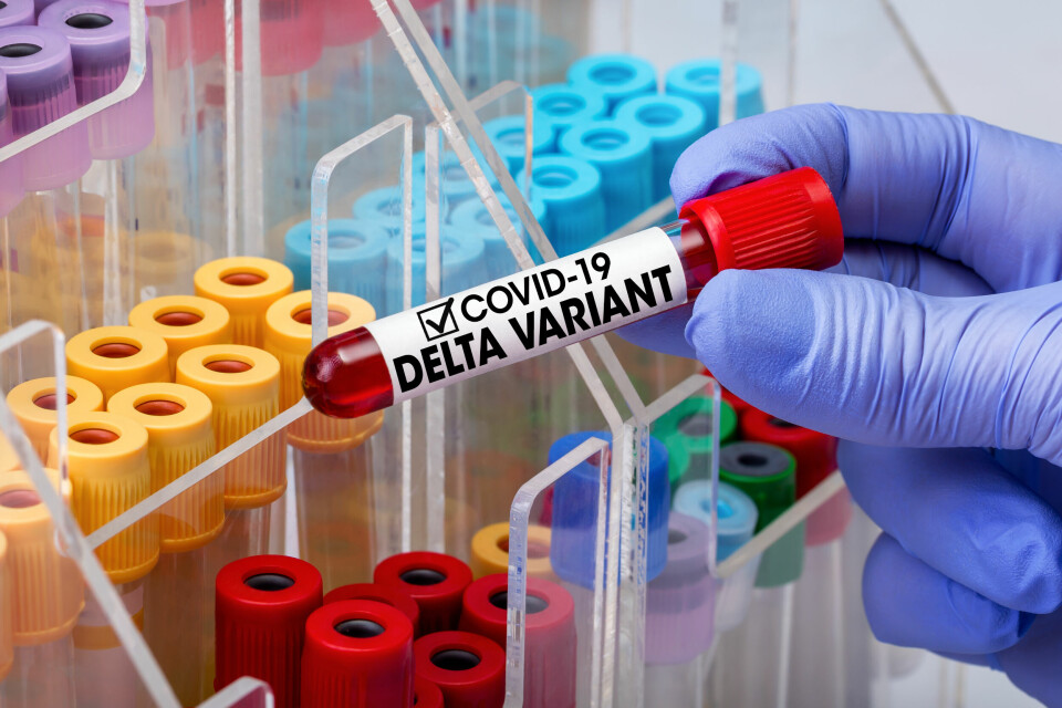 A doctor tests a blood tube from a patient. The tube is labelled “Delta variant”.