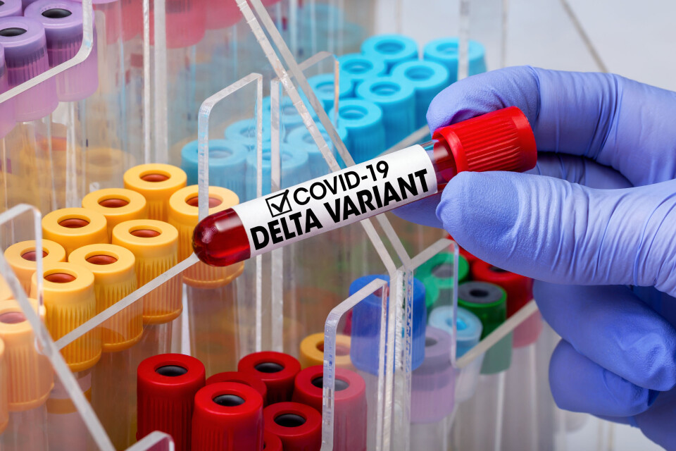 A doctor tests a blood tube from a patient. The tube is labelled “Delta variant”.