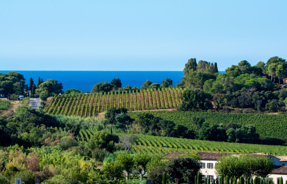 barmalini / Shutterstock