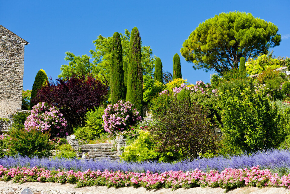 Richard Semik / Shutterstock