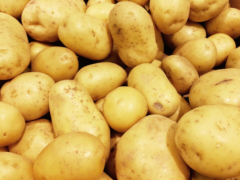 A pile of fresh potatoes
