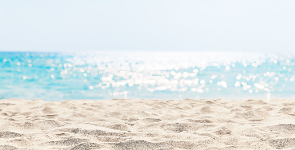 Preto Perola / Shutterstock