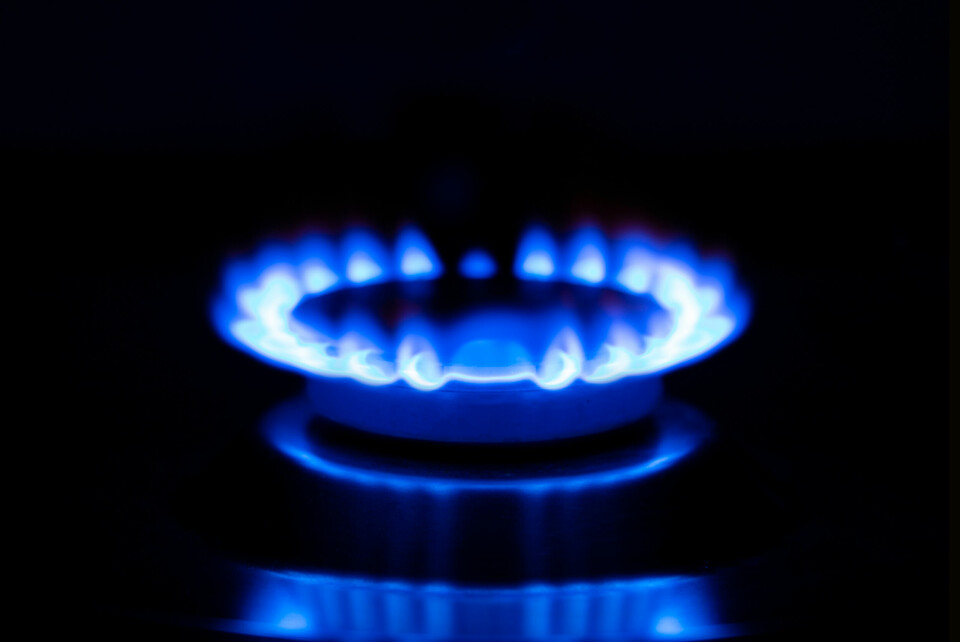 An image of a gas powered hob ring