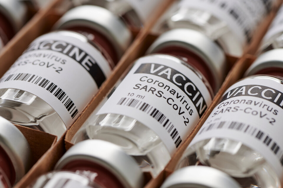 M-Foto / Shutterstock An image of a crate full of Covid vaccines