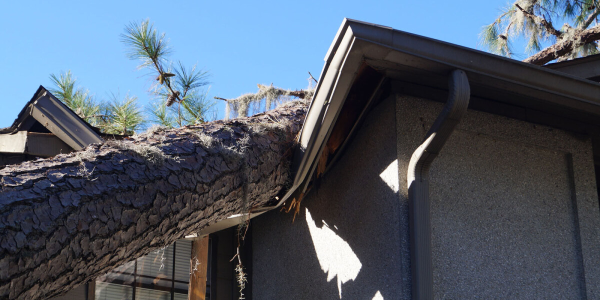 Is a natural disaster ruling needed to claim for french home damage?