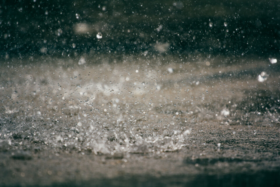 Gabriela Tulian / Shutterstock An image of rain droplets falling on the ground