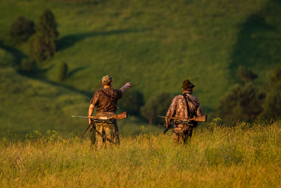 A man with a gun and a dog preparing to hunt. In France, it is legal to hunt 90 species of animal.