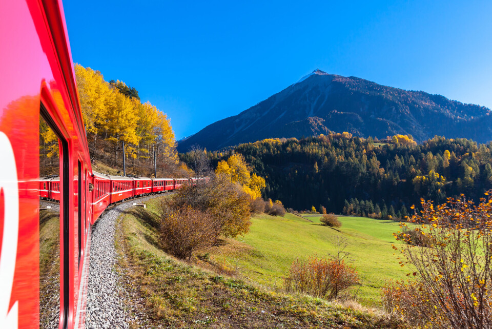 Peter Stein / Shutterstock