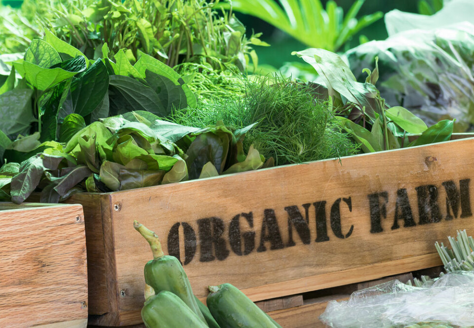 A crate of organic food. Organic food in France not always ‘better quality’ study finds