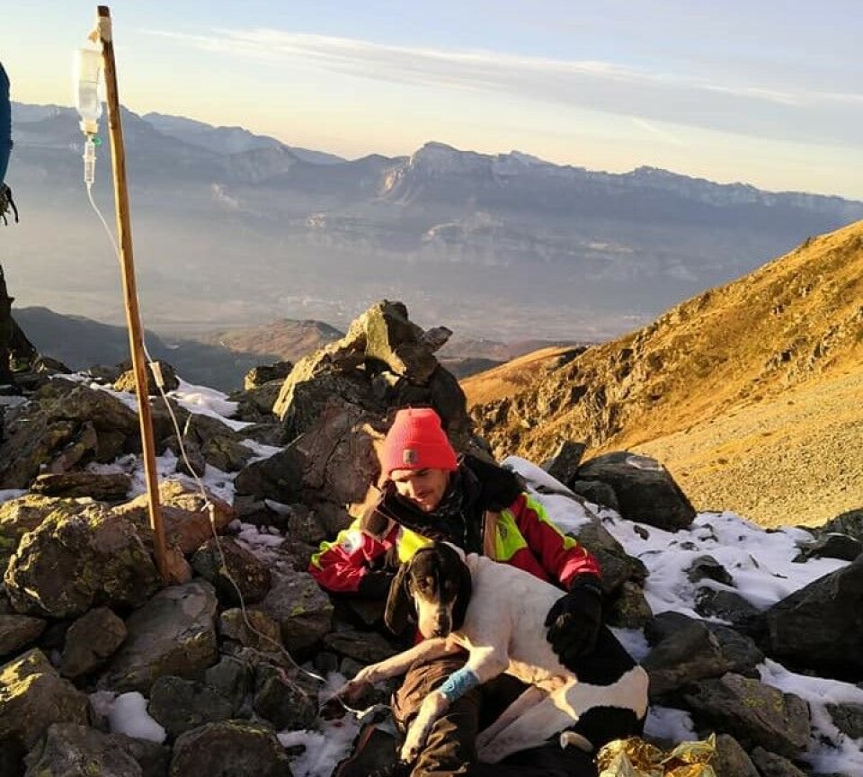 Equipe de Secours Animalier en Montagne
