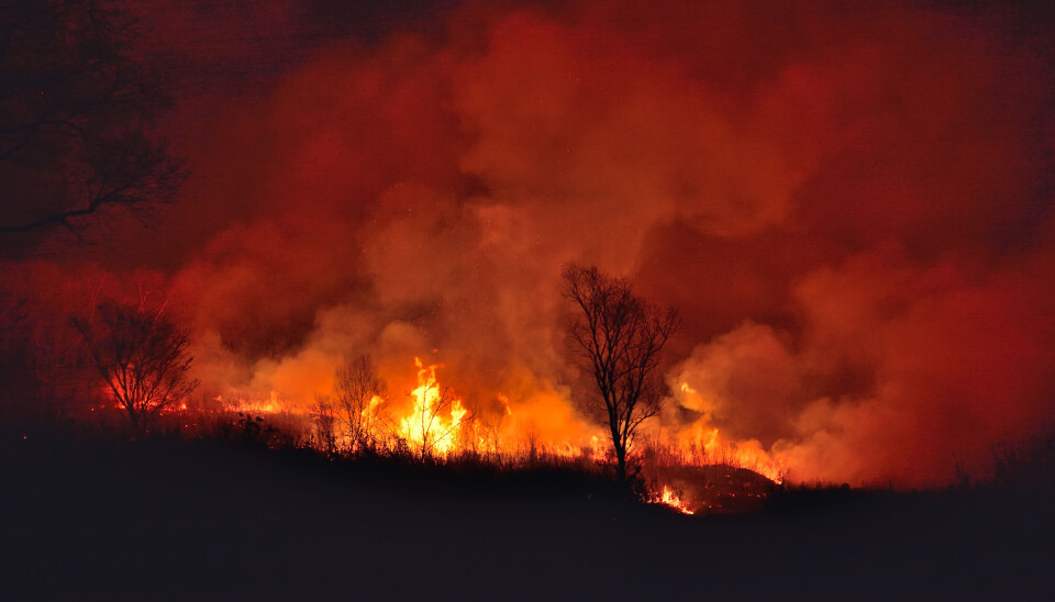Forest Fire Alerts in Southern France: High Risk Areas and Safety Measures