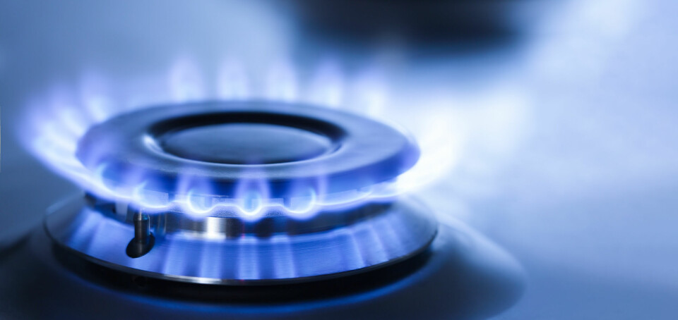 An image of a lit ring on a gas stove