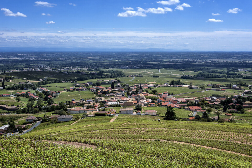 Rolf G Wackenberg / Shutterstock