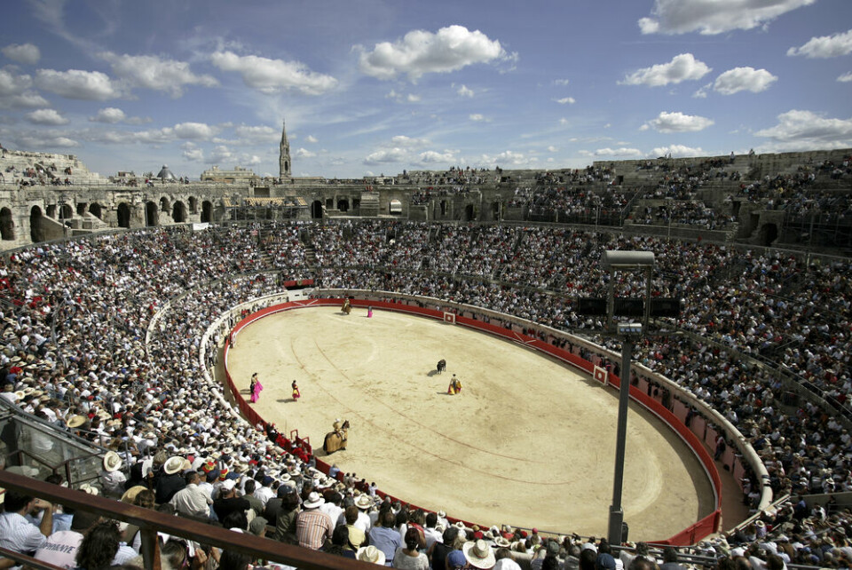 The bullfighting ring in Nîmes. Animal rights group's bid to ban bullfighting in south of France fails